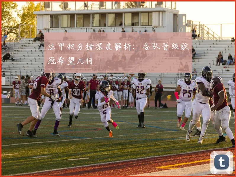 法甲积分榜深度解析:各队晋级欧冠希望几何