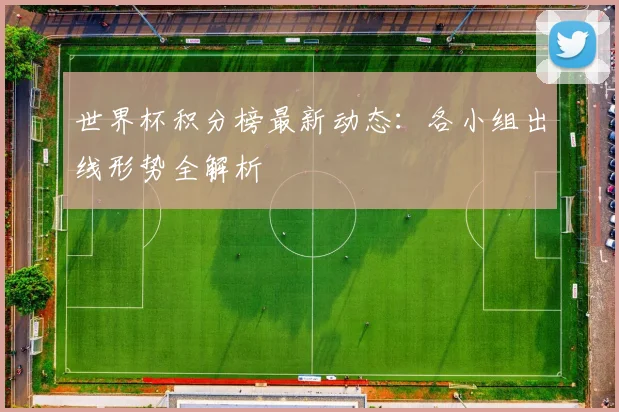 世界杯积分榜最新动态：各小组出线形势全解析
