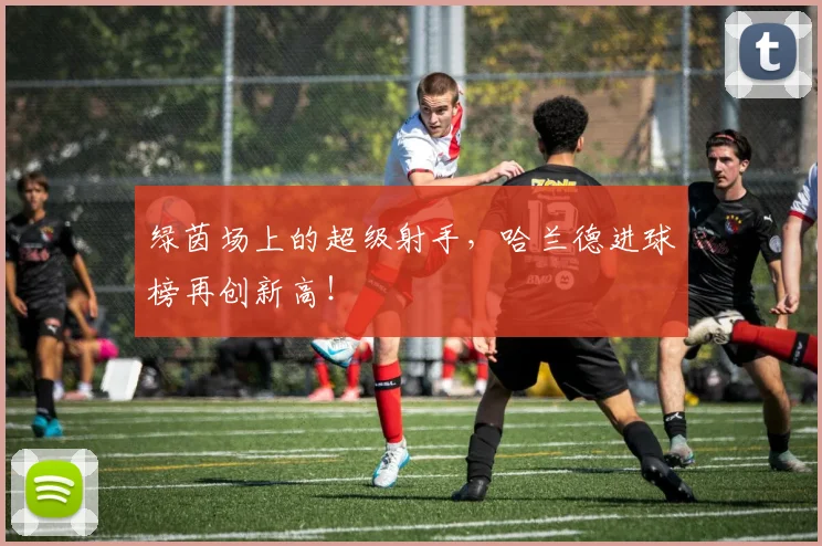 绿茵场上的超级射手,哈兰德进球榜再创新高!
