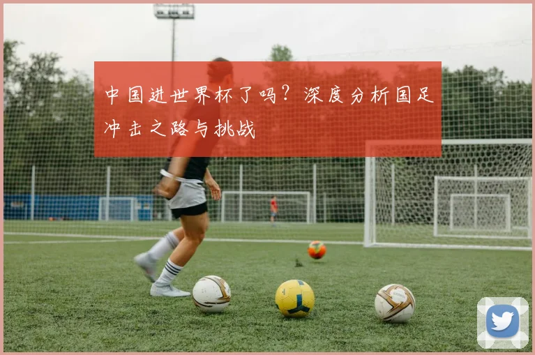 中国进世界杯了吗?深度分析国足冲击之路与挑战